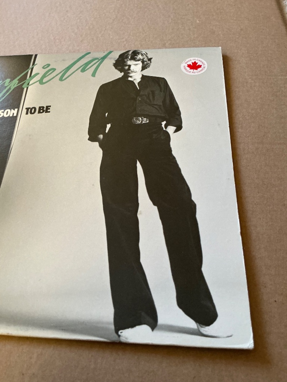 Garfield Reason To Be Vinyl Polydor 1979 - Picture 12 of 13